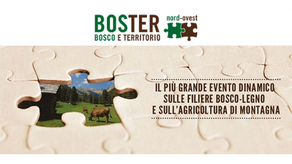 Boster